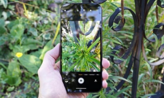 The camera app on the Fairphone 5.